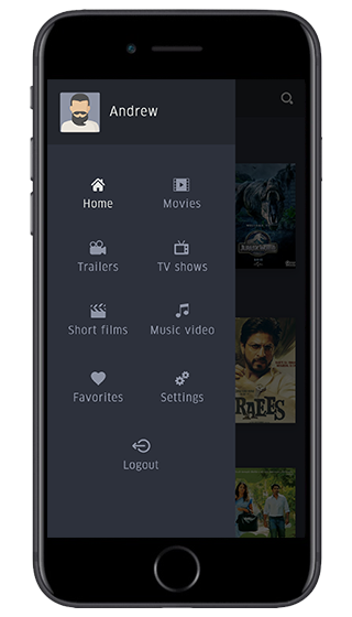 netflix clone script netflix clone script