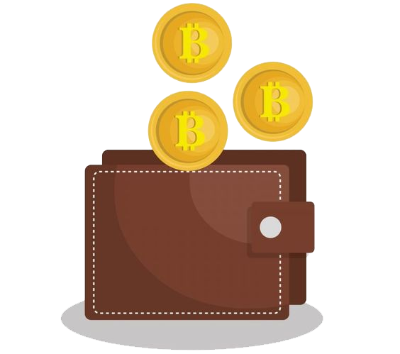 Make your own cryptocurrency wallet