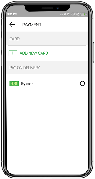 payment screen for Grocery Ecommerce Script