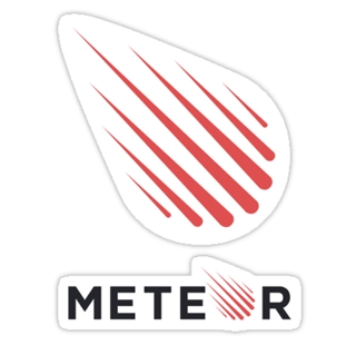 hire meteor js developers