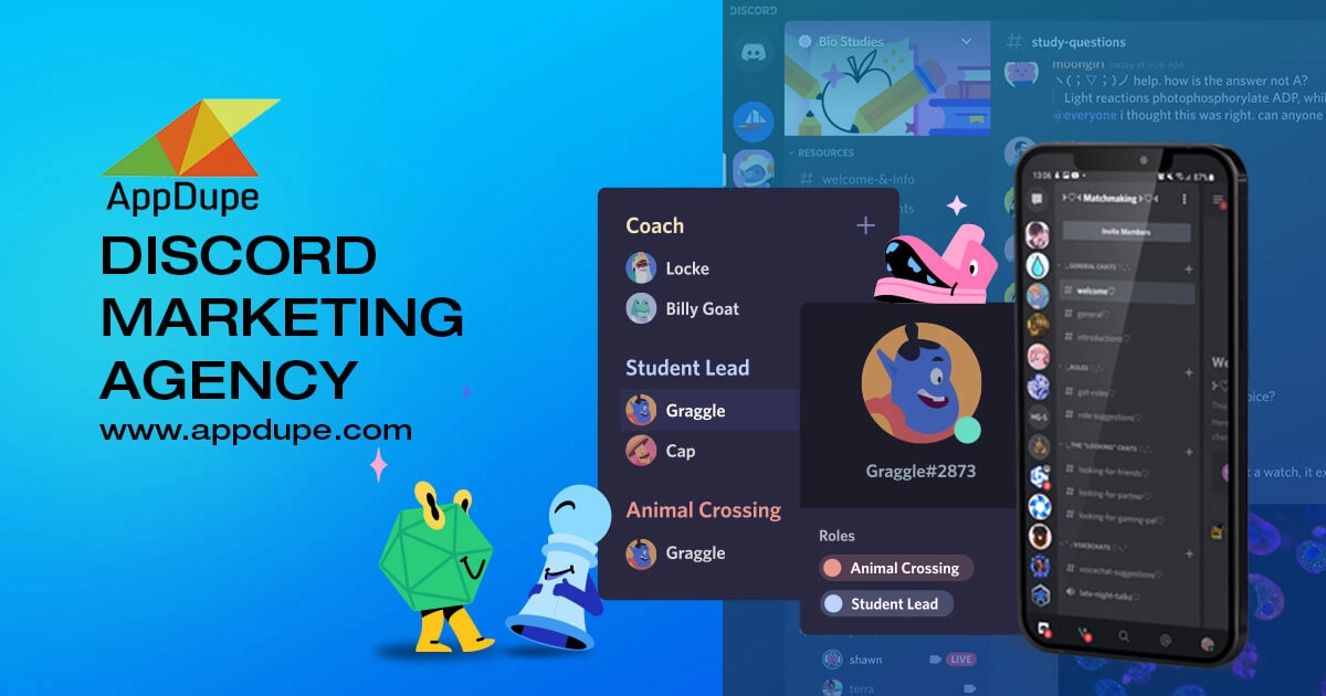 Discord Marketing Agency, Community Building and Discord Development