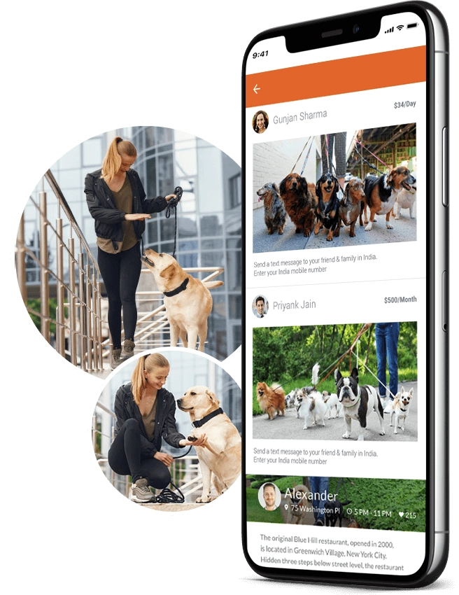 Launch your Uber for Dog Walker App | On-Demand Dog Walking App Development